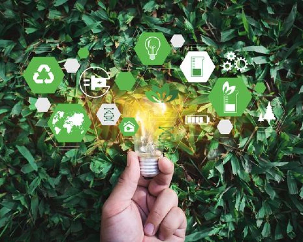 Sostenibilitat empresarial