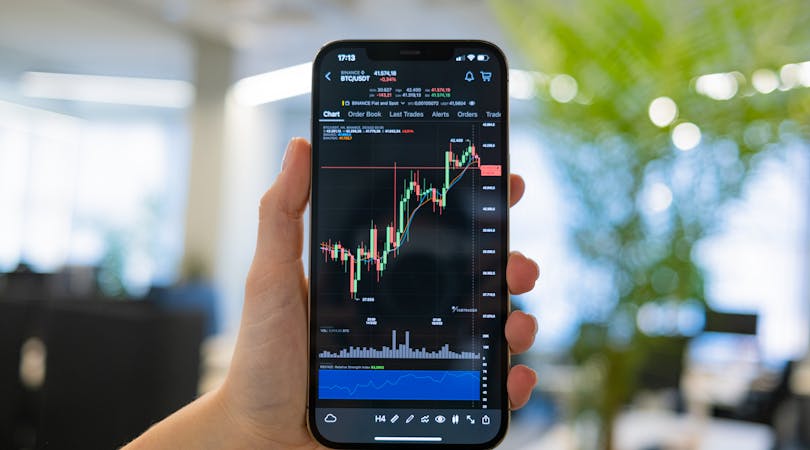 1pexels-photo-24709179-1740560024_1740561600image